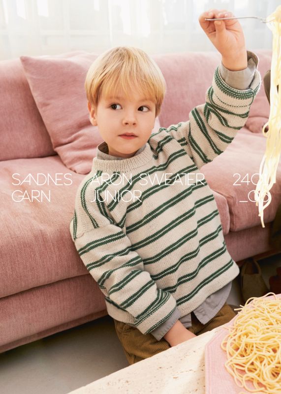 2401-6 Aron Sweater Junior